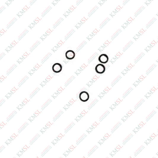 O-RING N510059865AA

